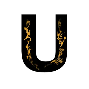 'BLACK U'