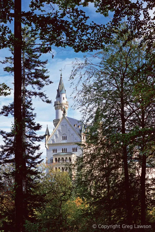Castle In The Wood