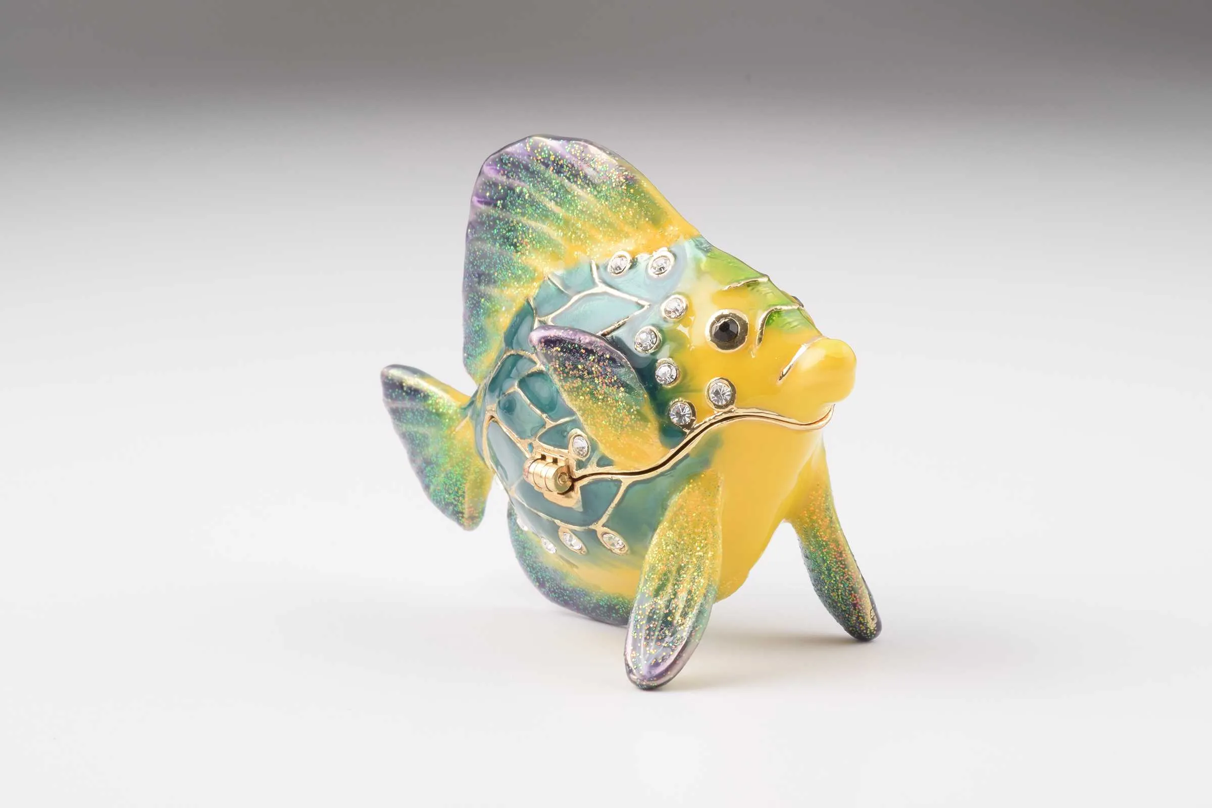 Colorful Fish