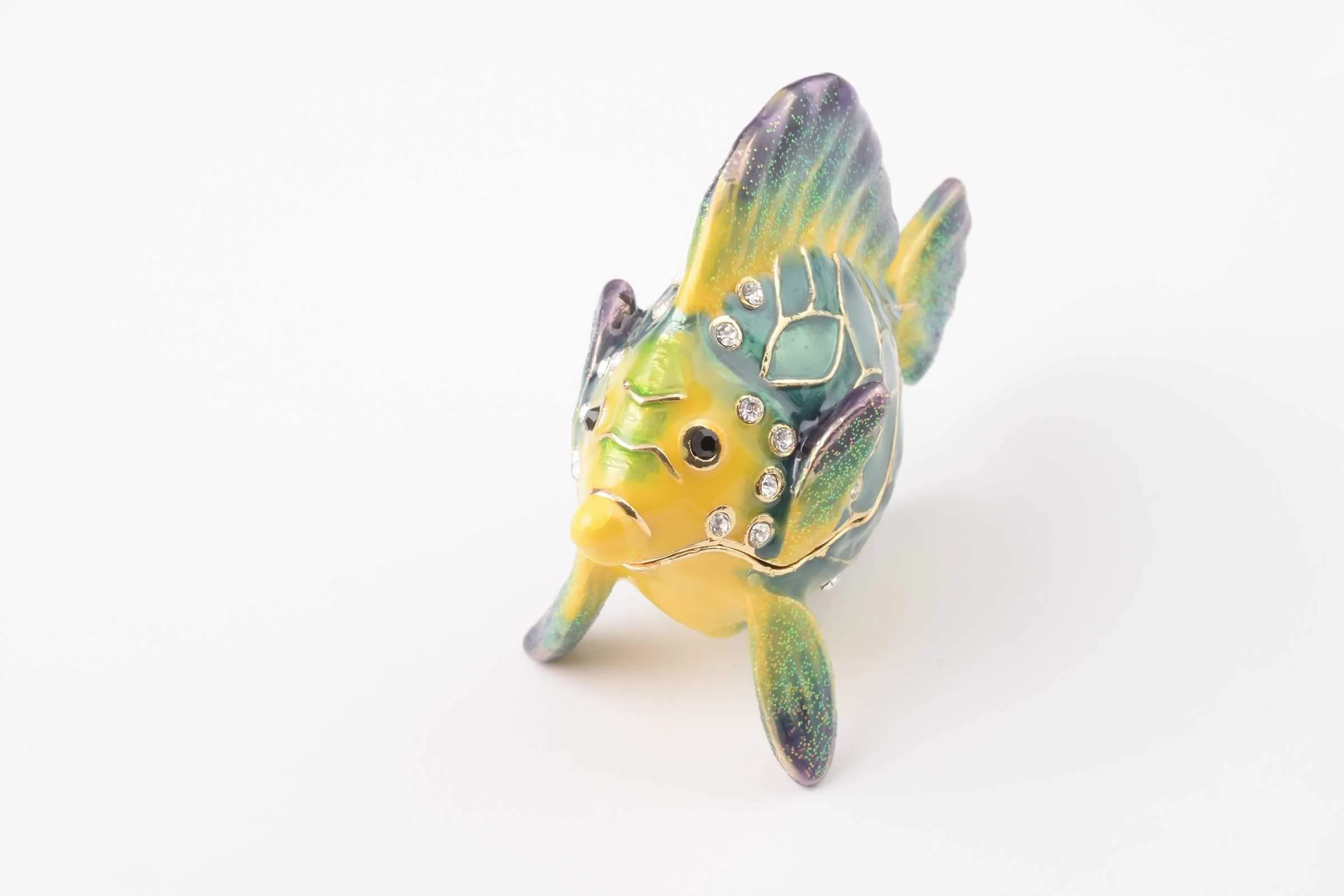 Colorful Fish
