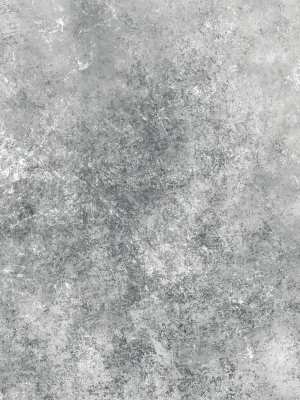Kate Abstract Bright Silver Texture Muslin Photography Backdrop