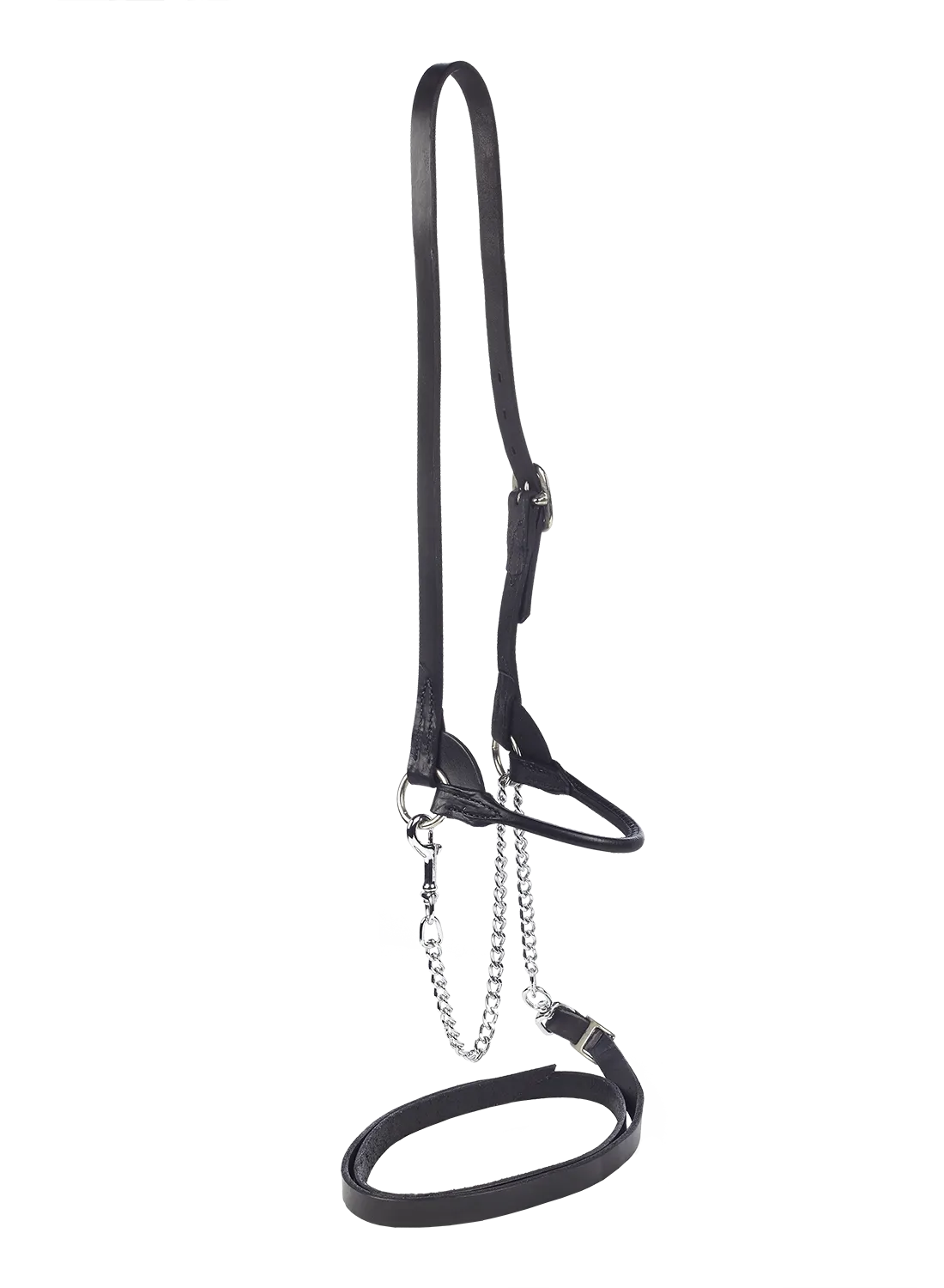 Show halter Black slimline 1 buckle